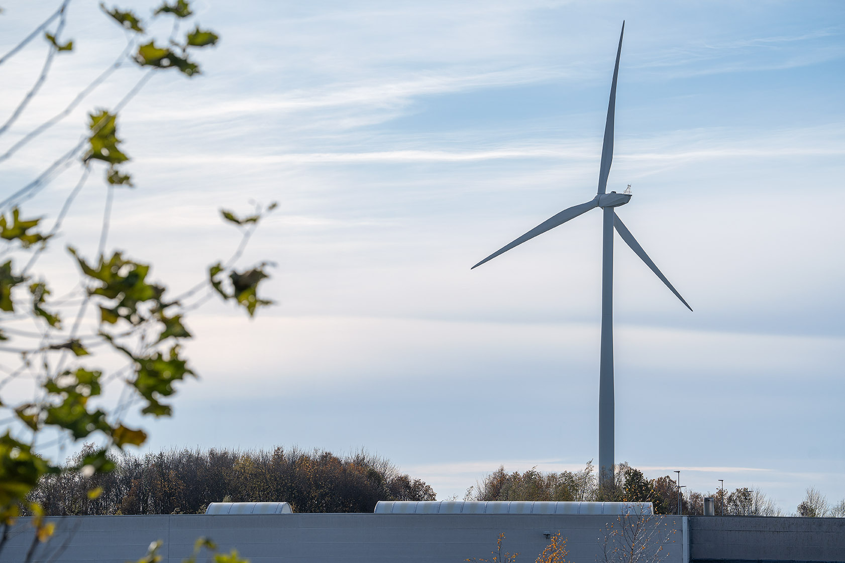 Roels Palett 2025 DSC9502